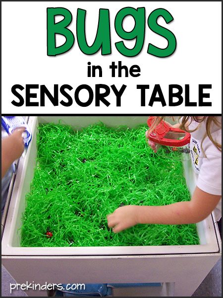 Science Activities For Preschoolers About Animals, Critters Preschool Activities, Bugs Crafts For Preschool, Discovery Preschool Kindercare, Insect Sensory Bin, Bugs Activities, Preschool Bugs, April Lesson Plans, Insects Theme Preschool