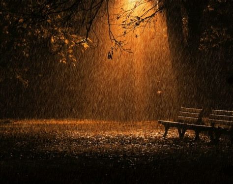 Rain in the Park after dark. Gif Chuva, Rain City, Night Rain, Foto Gif, I Love Rain, Autumn Rain, Love Rain, Rainy Night, Sound Of Rain