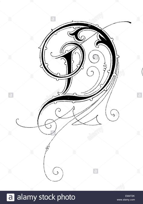 Download this stock image: Letter D, Font: Art Nouveau - EM4T2K from Alamy's library of millions of high resolution stock photos, illustrations and vectors. Letter D Design Creative, D Letter Drawing, D Calligraphy Letter, Letter D Drawing, Letter D Calligraphy, Letter D Font, Letter D Design, Letter D Tattoo, D Wallpaper Letter Cute