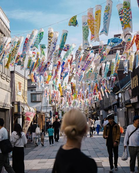 Caught these koinobori (aka carp streamers, usually displayed around Golden Week for Children’s Day) in Kawagoe this year 🎏 Travel Posters, Golden Week, Carp, Japanese Theme, Japanese Travel, Children’s Day, Travel Poster, Koi, This Year