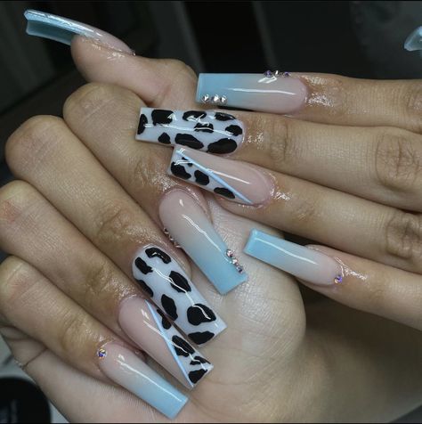 Country Acrylic Nails, Cow Print Nails, Western Nails, Queen Nails, Hard Nails, Cow Nails, Long Acrylic Nail Designs, Print Nails, Animal Print Nails