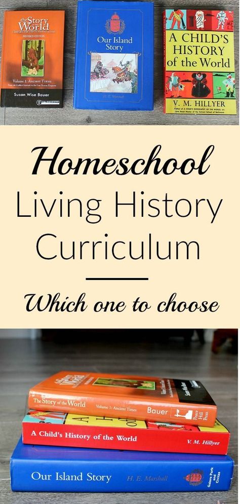 History Activities, History Printables, Homeschool History Curriculum, World History Lessons, History Of The World, History Curriculum, How To Start Homeschooling, Homeschool Learning, Homeschool History