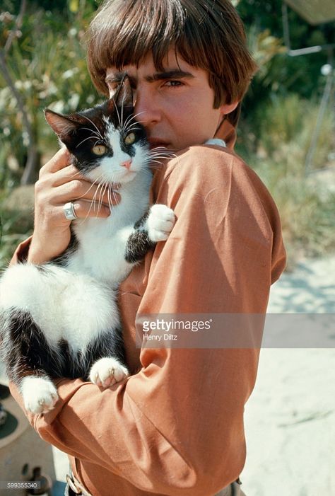 Davy Jones holds a black and white cat on the set of The Monkees TV show. Crazy Cat Lady, Celebrities With Cats, Men With Cats, Davy Jones, The Monkees, Cat People, Man In Love, Cat Owners, Animals Friends