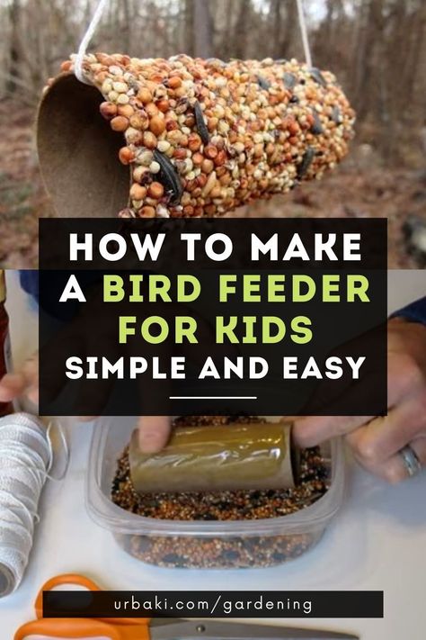 Bird Feeders For Preschoolers To Make, Sunflower Seed Bird Feeders Diy, Preschool Bird Feeders No Peanut Butter, Easy To Make Bird Feeders, Bird Snacks For Kids, Simple Bird Feeders For Kids To Make, Birdfeeders Kids Can Make, Peanut Butter Bird Feeder Diy, Kids Bird Feeder Crafts