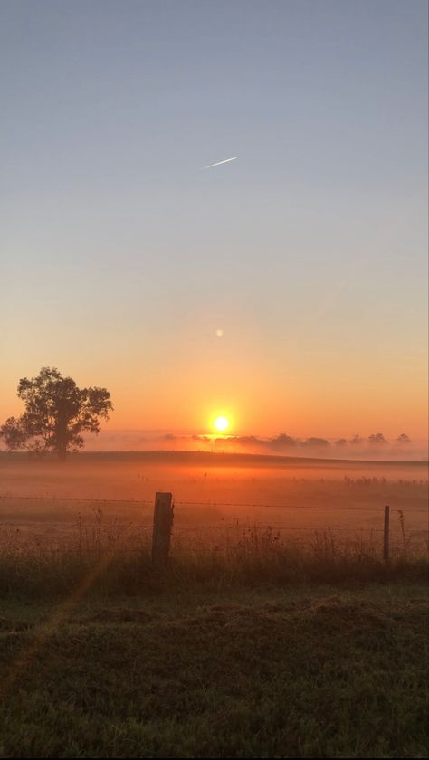 Sunrise sun beautiful early morning aesthetic nature meadow foggy Country Sunrise Aesthetic, Nature, Vision Board Sunrise, Sunset Meadow Aesthetic, Early Sunrise Aesthetic, Sierra Core Aesthetic, Sundown Aesthetic, Morning Aesthetic Sunrise, Aesthetic Meadow