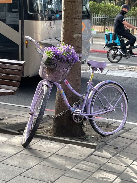 Basket Bike Aesthetic, Pretty Bike Aesthetic, Pink Bicycle Aesthetic, Bike Astethic, Aesthetic Bicycle, Cute Bikes, Aesthetic Bikes, Bycicle Girl, Pretty Bikes