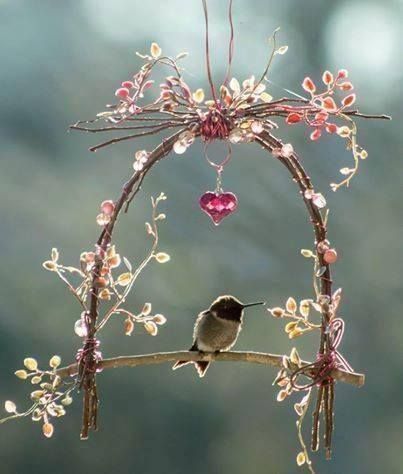 My most favourite thing in the world. Hummingbirds. So beautiful.  Hummingbird swing #hummingbird Hummingbirds, Hummingbird Swing, Hummingbird Garden, Humming Bird Feeders, Deco Floral, Fairy House, Garden Crafts, Birdhouse, Dream Garden