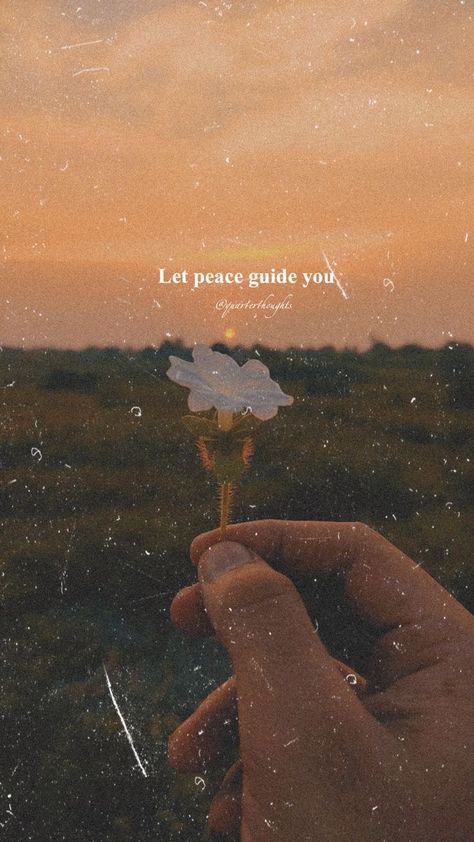Nature, Inner Peace Wallpaper Aesthetic, Peaceful Life Aesthetic Quotes, Protect Your Peace Wallpaper Aesthetic, Peace Of Mind Wallpaper Aesthetic, Peaceful Quotes Aesthetic, Inner Peace Aesthetic Pictures, Peaceful Mind Aesthetic, Peace Aesthetic Pictures