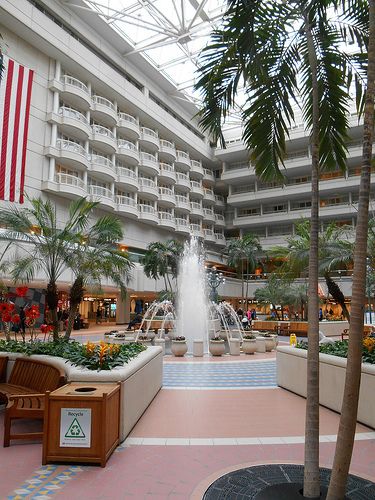 Orlando International Airport Orlando Florida, Orlando Airport, March Break, Orlando International Airport, Interior Landscape, Airport Aesthetic, My Parents, International Airport, Show Up