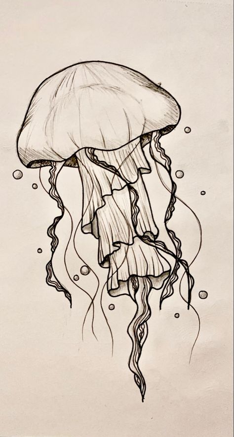 Jellyfish Art Drawing, Skitse Bog, 헬로키티 배경화면, Jellyfish Drawing, Fineliner Art, Desen Realist, Výtvarné Reference, Jellyfish Art, Pen Art Drawings