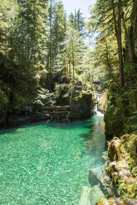 Last weekend, my family and I had the opportunity to hike in the Opal Creek Scenic Area and Wilderness. It is located east of Salem, in the Willamette National Forest. Opal Creek runs through thousands of acres of protected old growth forest, crisscrossed with over 30 miles of hiking trails. Oregon Travel, Opal Creek Oregon, Old Growth Forest, Oregon Road Trip, Aesthetic Board, Destin Florida, Zion National Park, Pretty Places, National Forest