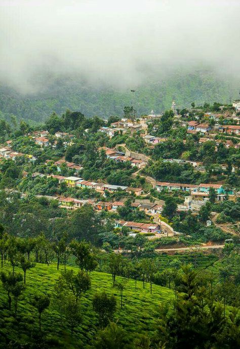 Ooty Nature, Ooty Hill Station Wallpaper, Ooty Nature Images, Megha Aesthetic, Ooty India Aesthetic, Ooty Hill Station Aesthetic, Coimbatore City Photography, Coimbatore Aesthetic, Kodaikanal Aesthetic