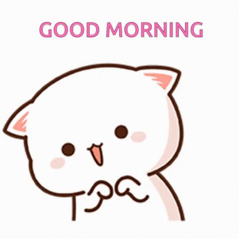 Peachcat Good Morning GIF - PEACHCAT Good Morning - Discover & Share GIFs Tumblr, Mochi Cats, Calin Gif, Cute Good Morning Gif, Good Morning Meme, Good Morning Cat, Morning Sweetheart, Morning Cat, Cute Anime Cat