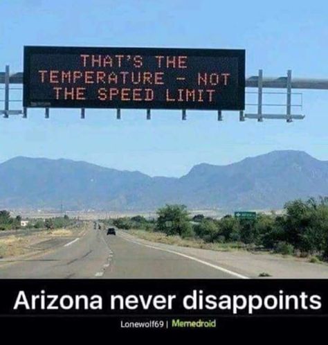 Funny Signs, Funny Road Signs, Arizona Humor, Living In Arizona, Desert Dream, Speed Limit, Real Estate Information, Road Signs, Real Estate Services