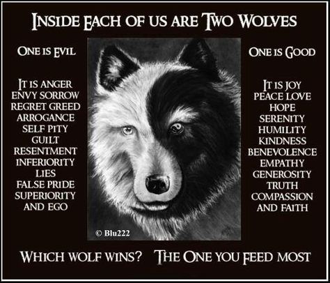 Which Wolf Wins?  The One You Feed Most.   #Iam4Humankind Native American Quotes, Two Wolves Tattoo, The One You Feed, Story Tattoo, American Quotes, Indian Quotes, Two Wolves, Native American Wisdom, American Story