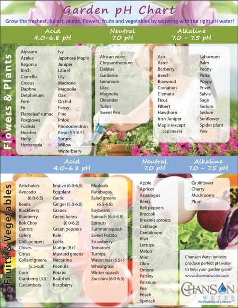 pH garden chart - Chanson Water Permaculture, Garden Chart, Ph Chart, Diy Hydroponics, Ph Water, Hydroponic Farming, Hydroponics Diy, Hydroponic Growing, Tower Garden