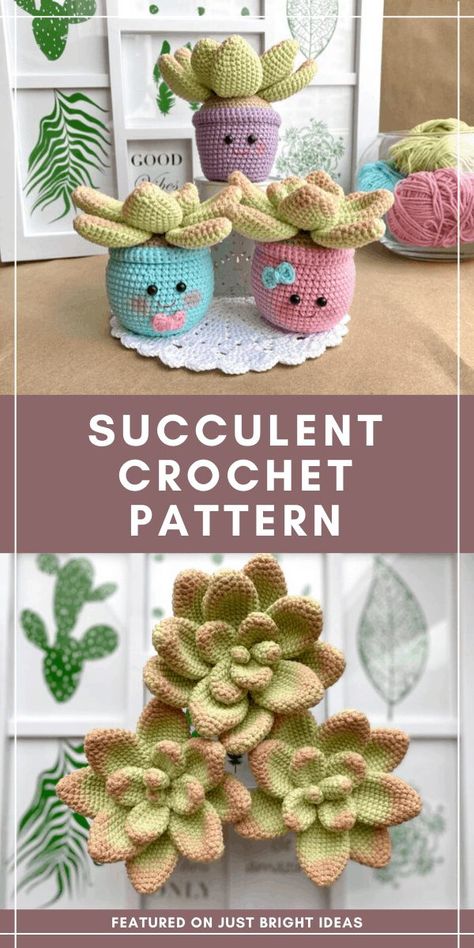Crochet Birthday Gifts For Mom, Crochet Gifts For Mothers Day, Amigurumi Succulent, Crochet Birthday Gifts, Crochet Succulents, Crochet Succulent, Christmas Gift Basket Ideas, Gift For Mom Christmas, Crochet Cactus