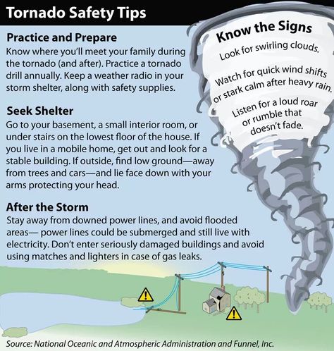 Tornado Safety Tornado Safety Tips, Tornado Preparedness, Tornado Safety, Summer Safety, Weather Science, Weather And Climate, Science Fair Projects, Emergency Prepping, Disaster Preparedness