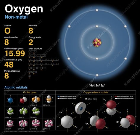 Oxygen, atomic structure - Stock Image - C018/3689 - Science Photo Library Tabel Periodik, Neon Art Print, Science Infographics, Wave Function, Cafe Pictures, Noble Gas, Chemistry Education, Chemistry Classroom, Natural Philosophy