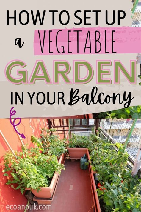 tomato plants in a balcony garden Apartment Vegetable Garden, Balcony Vegetable Garden, Balcony Garden Diy, Apartment Patio Gardens, Apartment Balcony Garden, Vertical Vegetable Garden, Small Balcony Garden, Balcony Plants, Garden Balcony