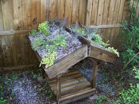 Have to try this on a chicken coop/rabbit hutch or two House With Roof, Living Green Roof, Roof Top Garden, Duck House, Cat Things, House Crafts, Sweet Dog, Dream Yard, Chicken Coop Plans