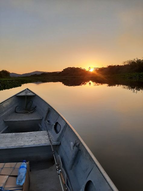 Pantanal Peru, Brazil, Instagram, How Beautiful, Sunrise Sunset, Phone Wallpaper, Forest