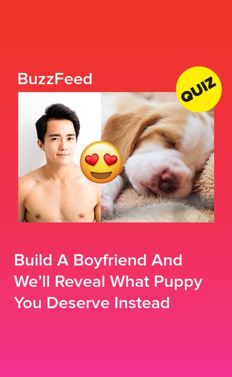 Build A Boyfriend And We’ll Reveal What Puppy You Deserve Instead Build A Boyfriend, Bf Quiz, Puppy Boyfriend, Buzzfeed Quiz Boyfriend, Crush Quizzes, Life Quizzes, Relationship Quizzes, Boyfriend Quiz, Love Quiz