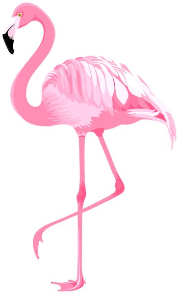 Flamingo Pink App Icons, Flamingo Clip Art, Pink App Icons, Flamingo Pictures, Flamingo Illustration, Flamingo Craft, Digital Art Software, Flamingo Art Print, Flamingo Wallpaper