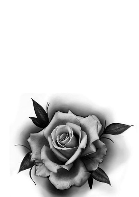 Black And White Rose Tattoo, Black And Grey Rose Tattoo, Rosen Tattoo Frau, Black And White Flower Tattoo, Black Flowers Tattoo, Ink Master Tattoos, Rose Tattoo Stencil, Realistic Flower Tattoo, Realistic Rose Tattoo