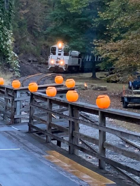 Halloween Train, Festive Halloween Decor, Halloween Express, It's The Great Pumpkin, Last Halloween, Scenic Railroads, Haunted Halloween, My Old Kentucky Home, Train Ride