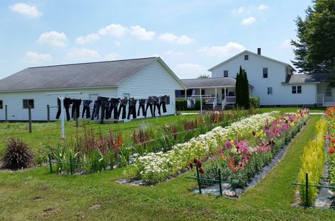 Amish Skills, Amish Homemaking, Amish Aesthetic, Permaculture Backyard, Amish Garden, Amish Homestead, Amish Farmhouse, Amish Farming, Front Yard Landscaping Diy