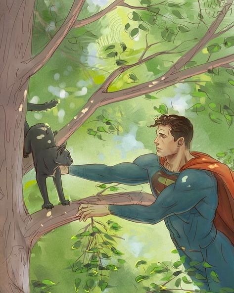 Sometimes being good is saving a cat out of a tree 🌲. What is your favorite Superman comic line . . . #superman #KalEl #manofsteel… Superman Pictures, Heath Ledger Joker, Superman Art, Adventures Of Superman, Superman Comic, Color Dream, Comics Story, Superhero Design, Batman And Superman