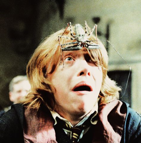 Funny, Harry Potter, Ron Weasley, The Goblet Of Fire, Goblet Of Fire, Funny Picture, Harry Potter Funny