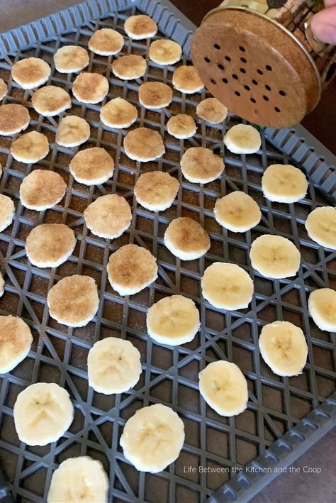 The above video shows you how easy it is to dehydrate banana chips with cinnamon and sugar to make a crunchy, delicious snack!  This is one of my Dehydrating Bananas In Dehydrator, Dehydrate Bananas In Dehydrator, Dehydrator Banana Chips, Banana Chips Dehydrator, How To Dehydrate Bananas, Dehydrator Ideas, Dehydrated Banana Chips, Banana Chips Recipe, Dehydrated Recipes