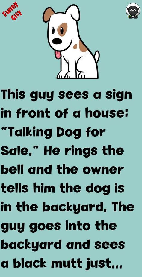 Funny Life Quotes Humor Hilarious Animal Pictures, Dog Jokes Hilarious Funny, Dog Jokes Hilarious, Funny Dog Painting, Funny Talking Dog, Front Of A House, Funny Dog Signs, Dog Texts, Dog For Sale