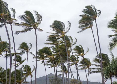 Highest Wind Speed Recorded in America | The Strangest Weather Events in US History Tornado Alley, Strange Weather, Crazy Weather, Weather Instruments, Extreme Weather Events, Dust Bowl, Storm Surge, Bob Vila, Wind Speed