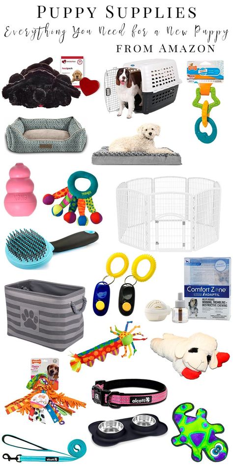 Puppy Supplies: What You Need for a New Puppy Before They Arrive Watermelon Dog, Pet Supplies Organization, Dog Supplies List, New Puppy Checklist, Watercolor Watermelon, Puppy Checklist, Poodle Puppy Standard, Puppies Tips, Puppy Supplies