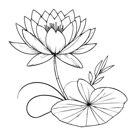 Easy water lily drawing for kids water l... | Premium Vector #Freepik #vector #nature #background #black #summer Nature, Water Lily Line Drawing, Water Flowers Drawing, Water Lily Outline, Draw Water Lily, Water Lily Drawing, Lily Drawing, Lilies Drawing, Crayon Drawing