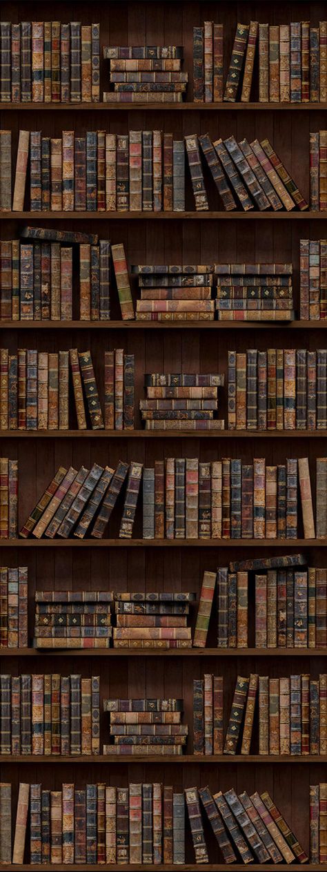 Dream Library, Book Related Wallpaper, Theif Aesthetic, Bilik Idaman, Library Aesthetic, Fotografi Vintage, Tapeta Galaxie, Book Wallpaper, Dark Academia Aesthetic