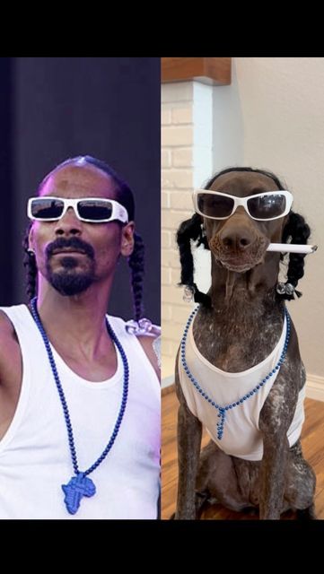 Gsp Halloween Costume, Snoop Dogg Costume Women, Tupac Halloween Costume, Snoop Dog Costume, Rappers Halloween Costumes, Funny Celebrity Costumes, Snoop Dogg Outfit, 80s Rappers, Snoop Dog Meme