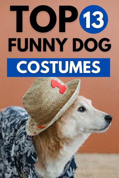 Funniest Dog Costumes, Xxl Dog Costumes, Dogs In Costumes Hilarious, Corgi Halloween Costumes, Costumes For Animals, Dog In Costume, Big Dog Costumes, Corgi Costume, Funny Dog Costumes