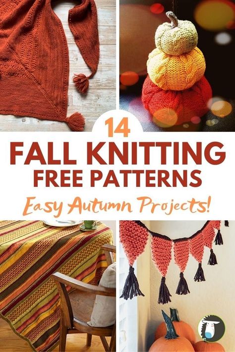 14 Fall Free Knitting Patterns including pumpkins, hats, sweater, afghan, bunting, and more! Amigurumi Patterns, Halloween Knitting Patterns Free, Holiday Knitting Patterns, Halloween Knitting Patterns, Halloween Knitting, Fall Craft Fairs, Winter Knitting Patterns, Fall Knitting Patterns, Patons Classic Wool