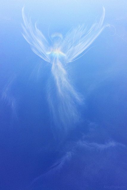 Millions of angels are gathering for Angel Awareness Day.  Groups everywhere are sending out the light. Diana Cooper     on Twitter   on facebook Angel Sightings, Archanděl Michael, Lex Talionis, Angelo Guerriero, Angel Clouds, I Believe In Angels, Belle Nature, Angels Among Us, Angel Painting