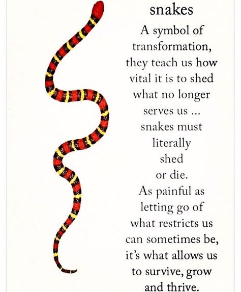 Snake Symbolism, Snake Quotes, Snake Meaning, Snake Tattoo Meaning, Karma Tattoo, Skins Quotes, Snake Shedding, Snake Art, Energy Healing Spirituality