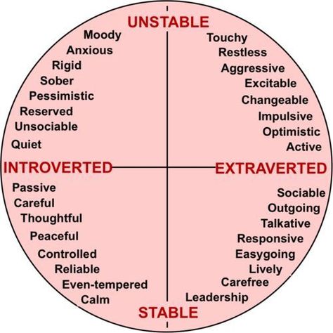 Extrovert Personality, Introvert Vs Extrovert, Introvert Extrovert, Personality Psychology, Extroverted Introvert, Myers–briggs Type Indicator, Infj Personality, Myers Briggs Type, Mbti Personality