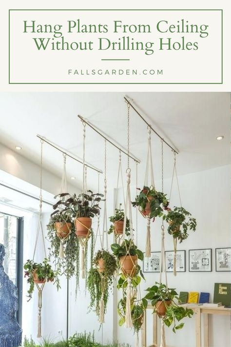 How To Hang Plants From Ceiling Without Drilling - FallsGarden Plants From Ceiling, Hang Plants From Ceiling, Hanging Indoor Plants, Terrariums Diy, Hang Plants, Ceiling Hangers, Indoor Plants Styling, Diy Hanging Planter, Plant Hooks