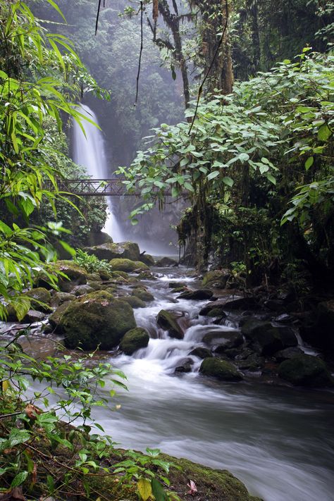 La Paz Waterfall Gardens, Costa Rica Positano, Costa Rica Waterfall, Famous Gardens, Tivoli Gardens, Air Terjun, Hidden Beauty, Les Cascades, Beautiful Waterfalls, Nature Reserve