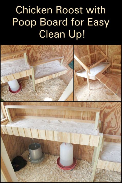 Easy Clean Chicken Roost, Roosting Ideas For Chickens, Clean Chicken Coop Ideas, Chicken Roost Diy, Walk In Chicken Run Plans, Coop Set Up, Roost For Chicken Coop, Chicken Coop Litter Tray, Chicken Droppings Board