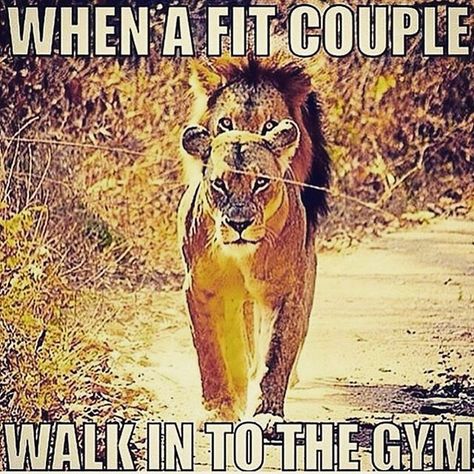 When A Fit Couple Walk Into The Gym fitness motivation exercise fitness quotes workout quotes exercise quotes Lion Protecting His Queen, Lioness Protecting Her King, Bad Assery Quotes Woman, Lioness Quotes, Empire Building, Gym Humour, Gym Couple, Gym Fitness Motivation, Lion Quotes