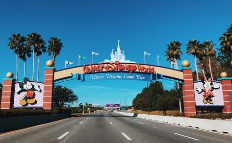 Hollywood Studios, Typhoon Lagoon, Disney Parque, Blizzard Beach, Disney Orlando, Disney World Parks, Walt Disney Company, Nova York, Kissimmee